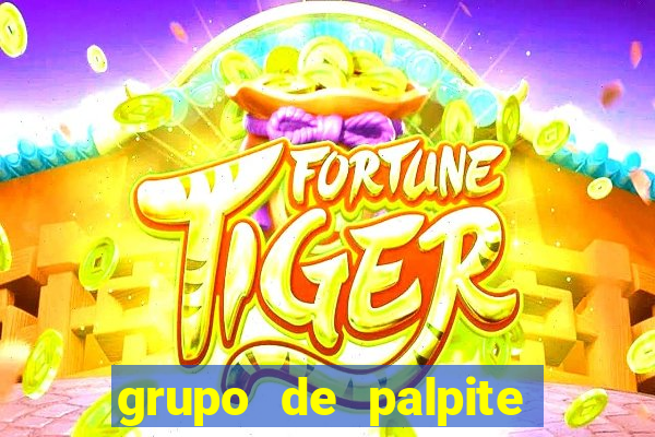 grupo de palpite de futebol telegram